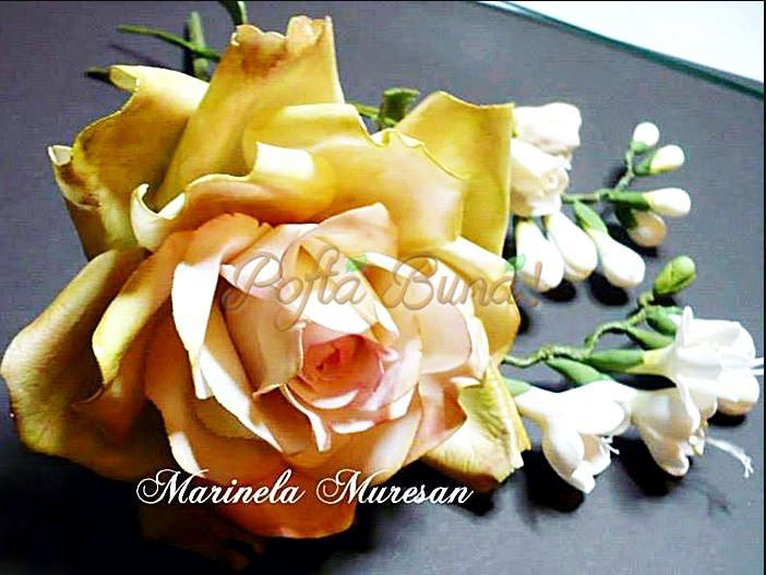 Marinela Muresan-Trandafir si frezii