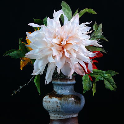 Sugar Flowers by Marinela Muresan